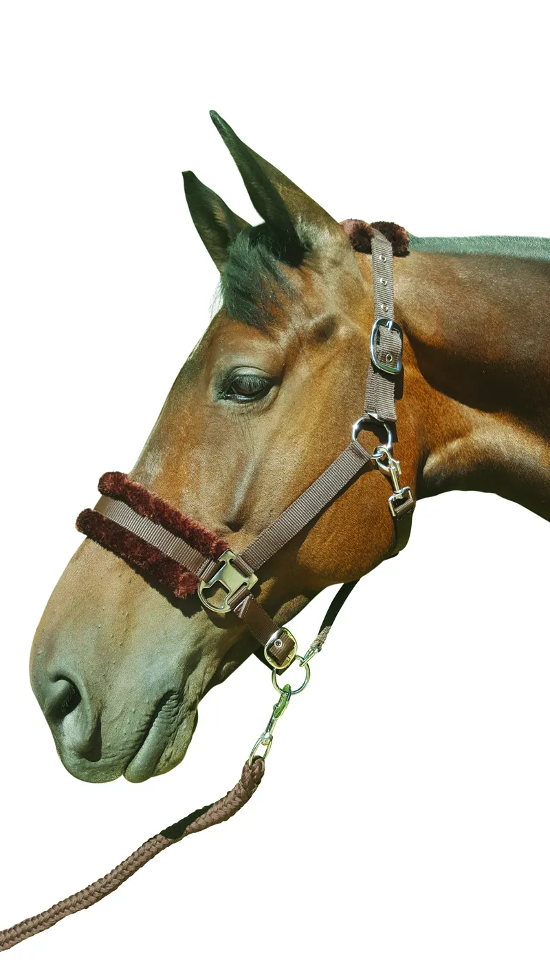Hy Equestrian Faux Fur Padded Head Collar With Lead Rope - Brown